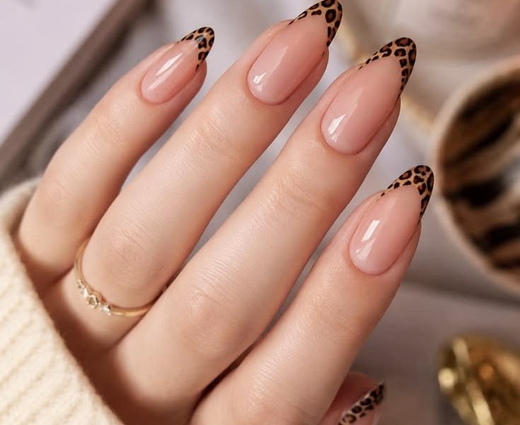 Leopard Print French Tip Nails: 2026 Trend, DIY Guide & Styling