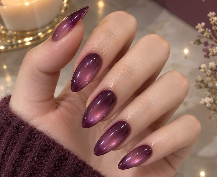 Deep Plum Velvet Cat Eye Nails: Luxury 3D Magnetic Nail Art Guide