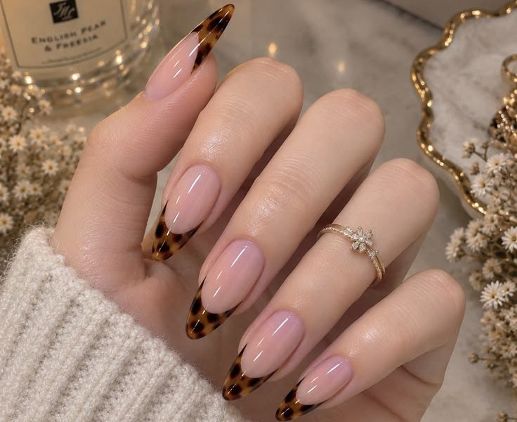 Tortoise Shell French Tip Nails: The Ultimate Trend & DIY Guide
